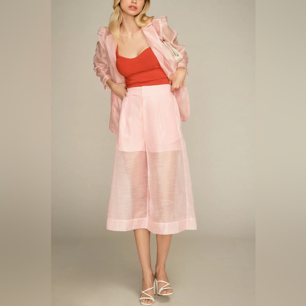 Anthropology DOLAN Sheer Crop Culottes